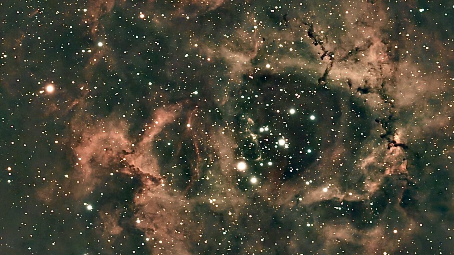 C49 Rosette Nebula