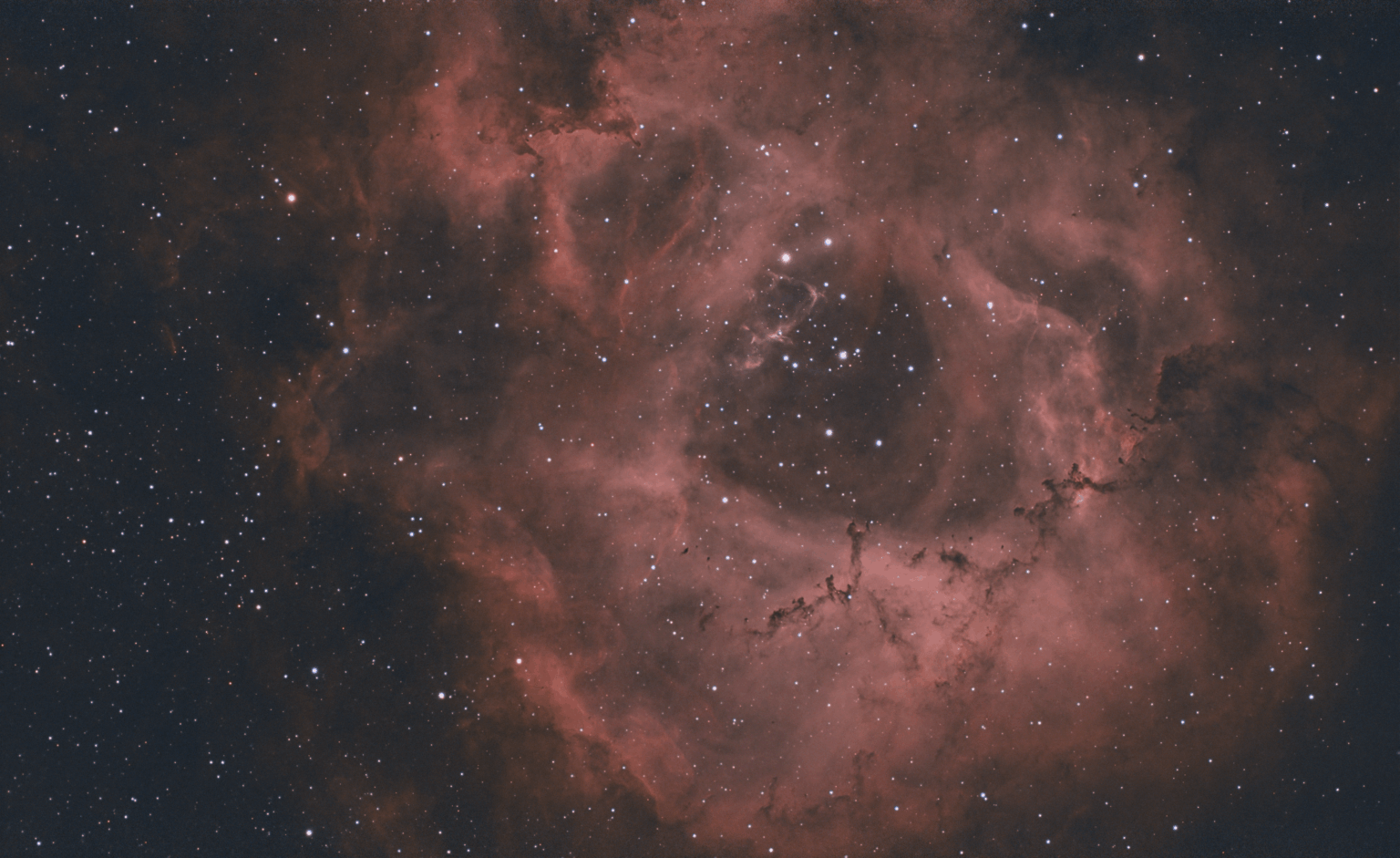 NGC 2244 Rosette Nebula
300 sec subs 46 subs used.
zwo ASI585MC Air
Gain of 110
-20c cooling
SVBONY SV 220 filter
Bortal 6. -- Round Rock Texas suburbs
Askar V 80 mm w/reducer
Stacked in Siril
Processed in Siril and Pixensite.