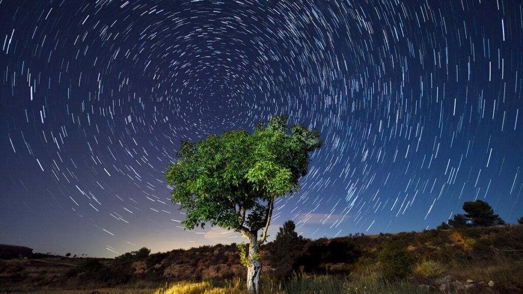 Vinesh Phogat Ends Retirement: Eyes LA 2028 Gold