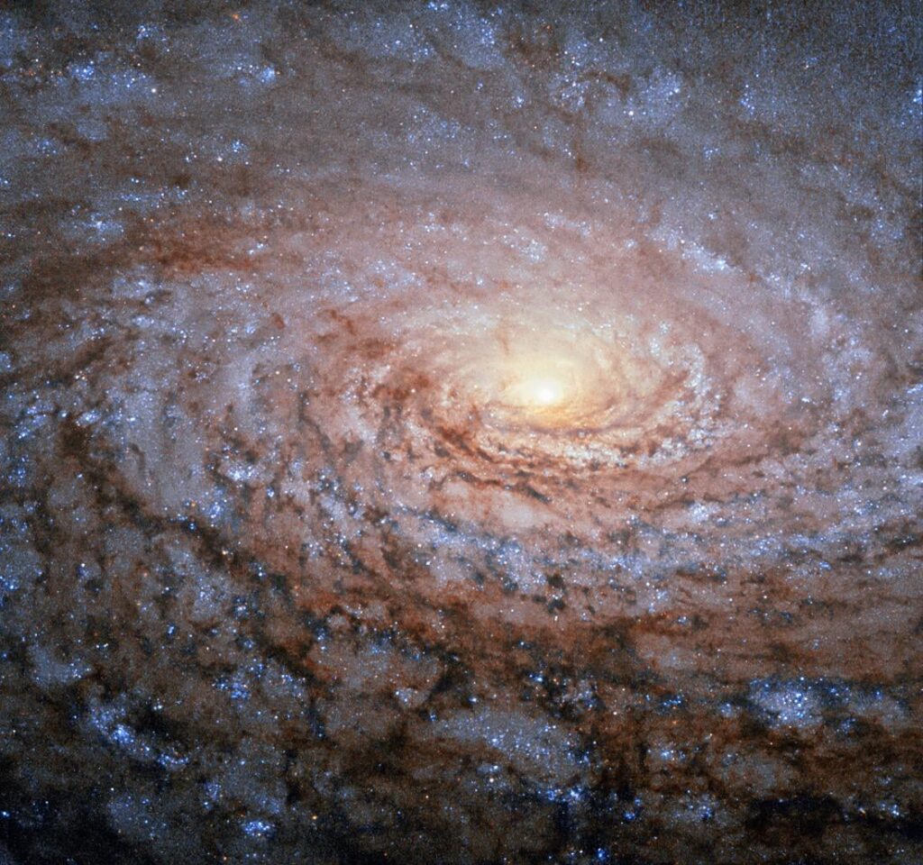 Hubble image of the center of the Sunflower Galaxy