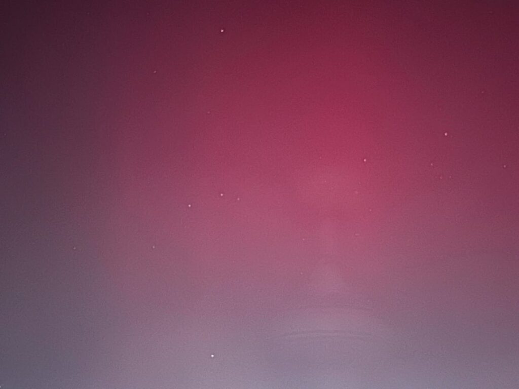 Took these photos, any thoughts?