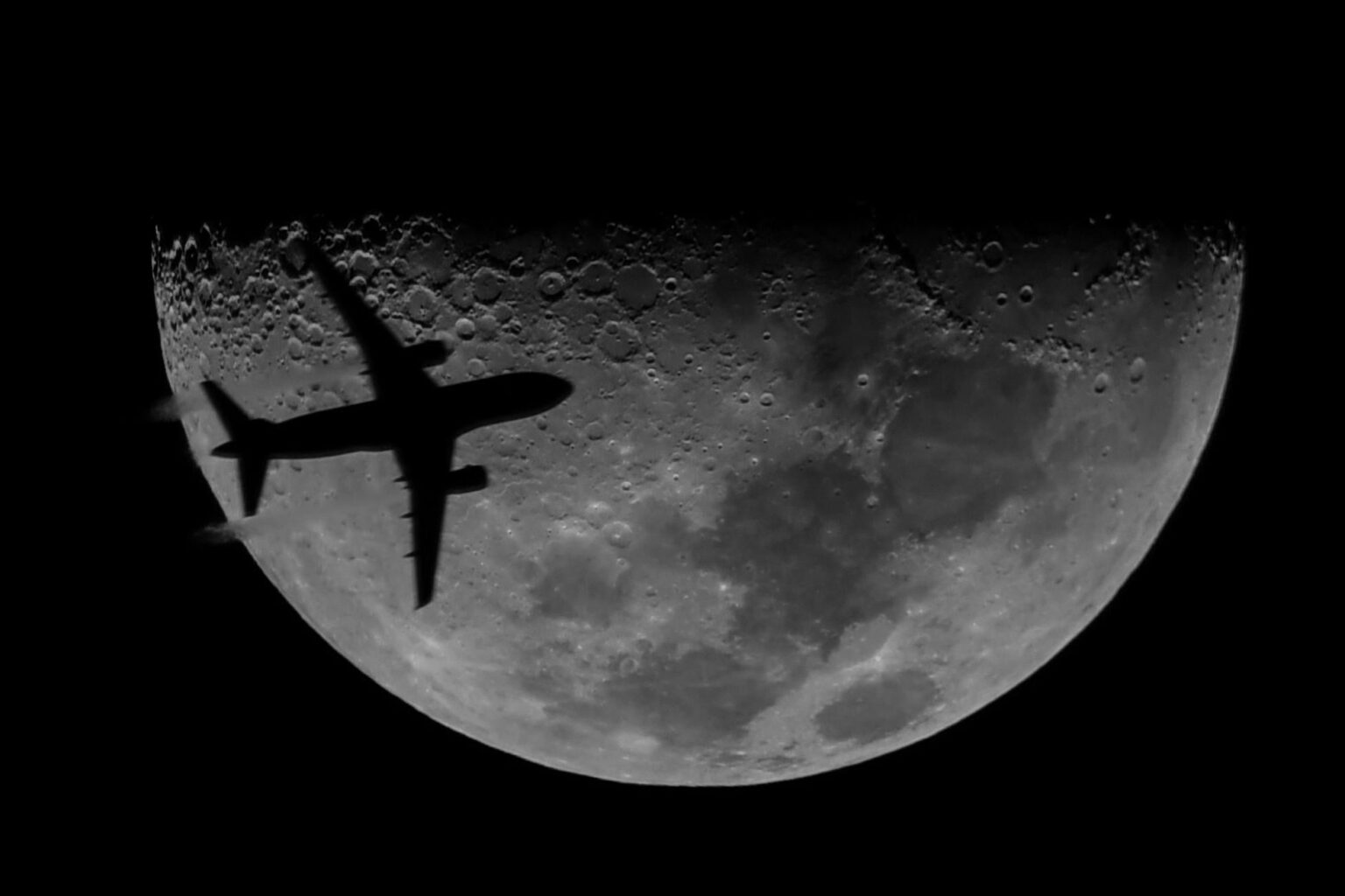 Luna and an unexpected guest