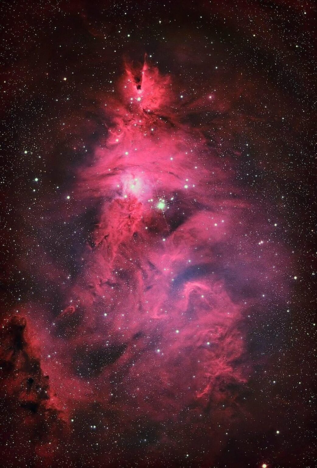 The Christmas Tree nebula. Happy Christmas!