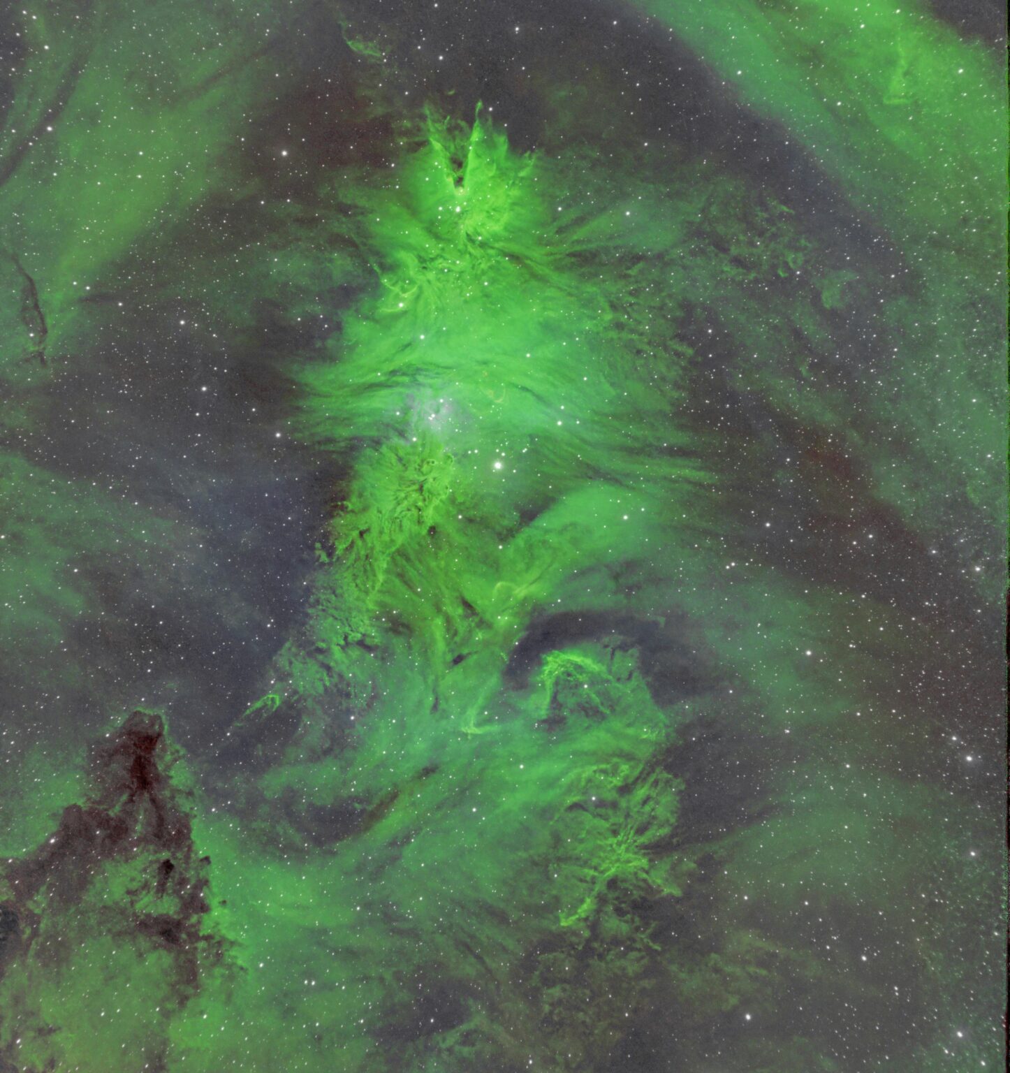 Christmas Tree Nebula from Backyard