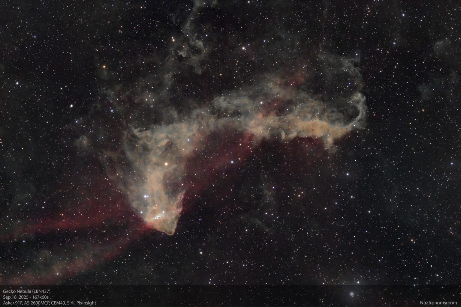 Gecko Nebula - LBN437