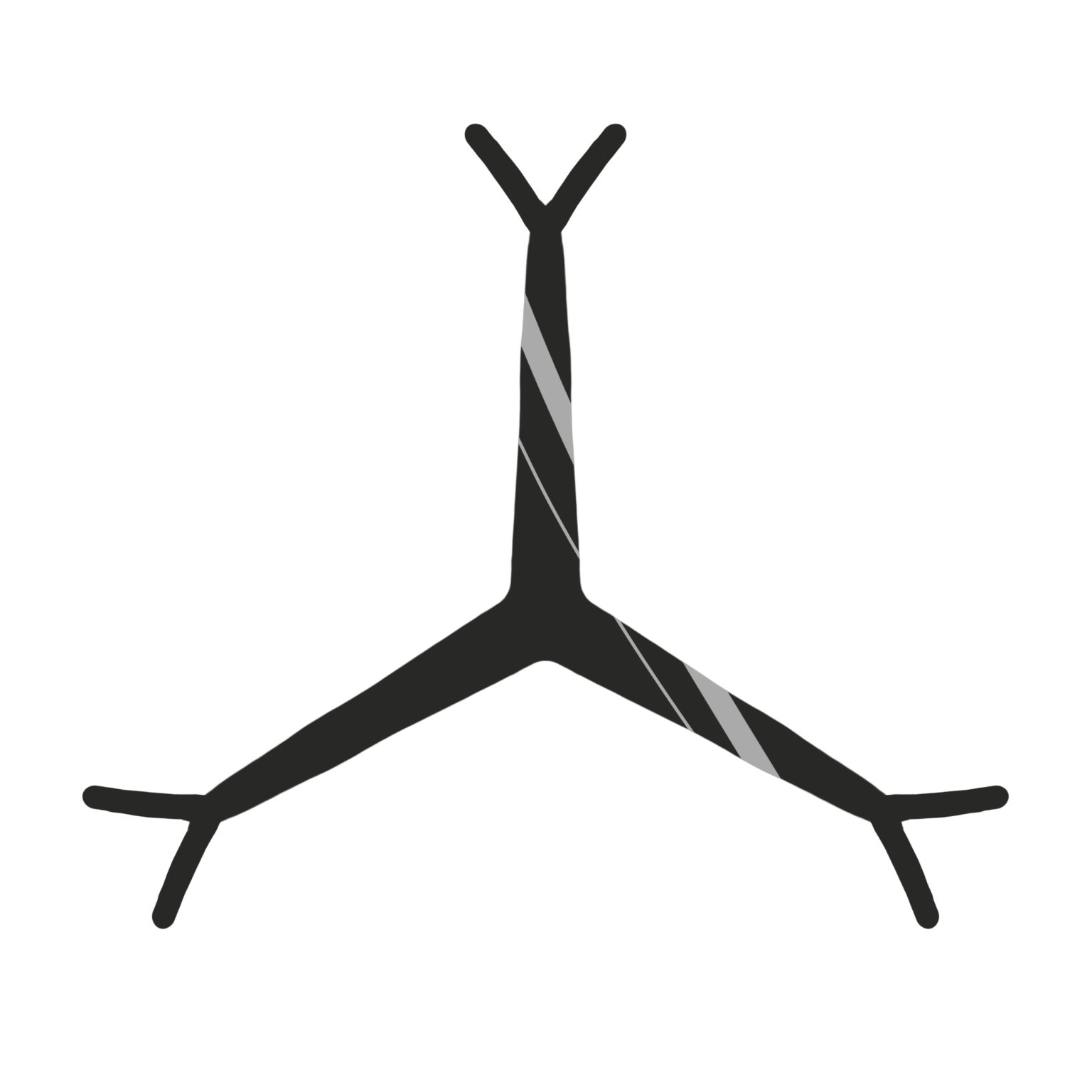 Has anyone ever seen a UFO like this?