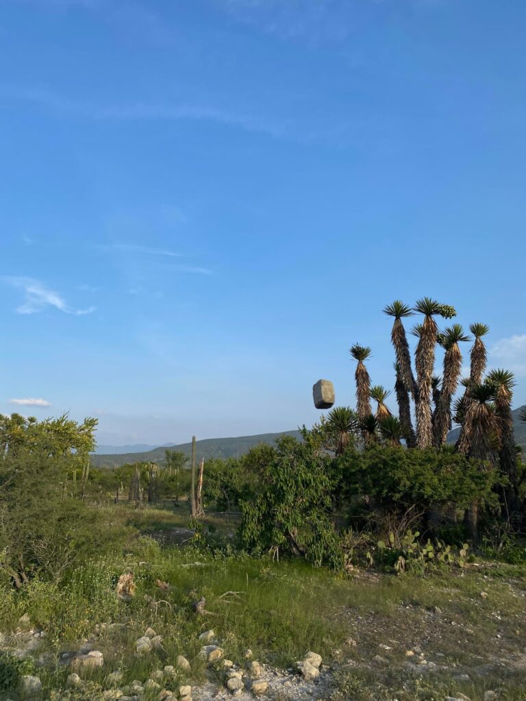 Time: 17/07/2025 6:13 pm Location: Puebla, Mexico.