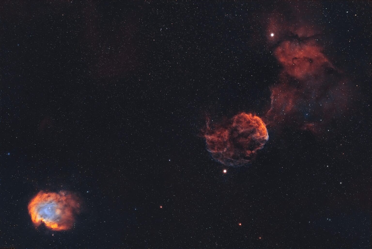 Jellyfish and Monkey Head Nebulae