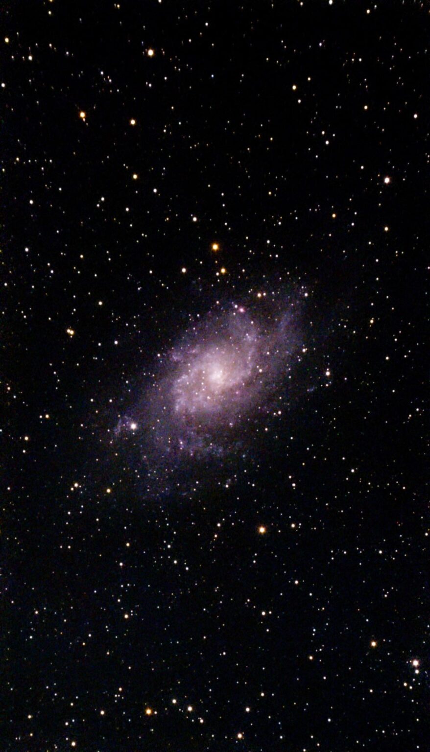 Triangulum Galaxy