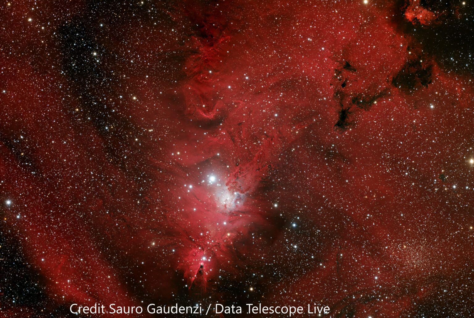NGC 2264