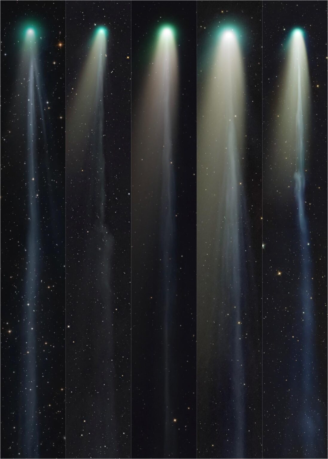 my favorite comet images this year (oc)