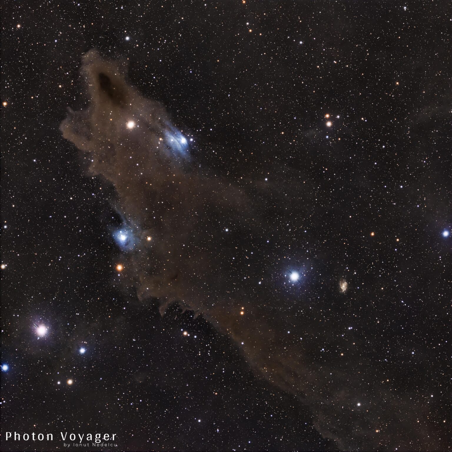 LDN 1235 – The Dark Shark Nebula