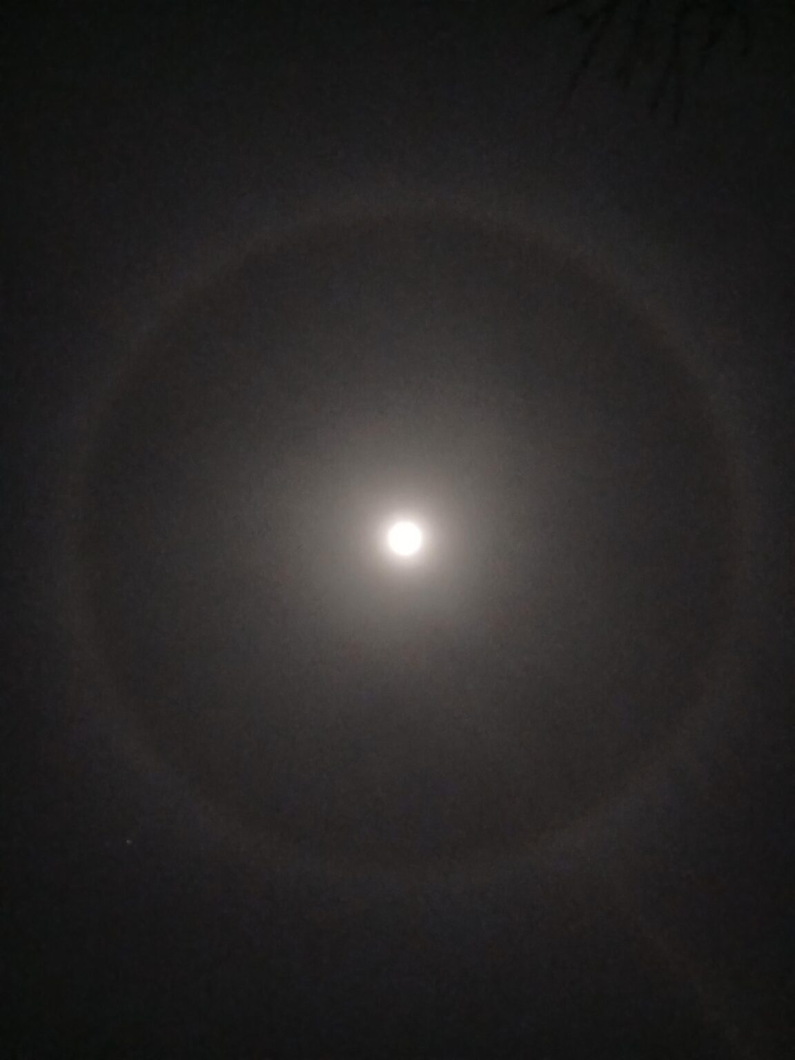 Cool looking right g I saw around the moon just now