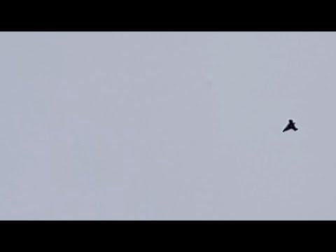 BLACK TRIANGLE UFO 01/25/2026 09:25am- Sudbury, Ontario Canada - UAP sighting