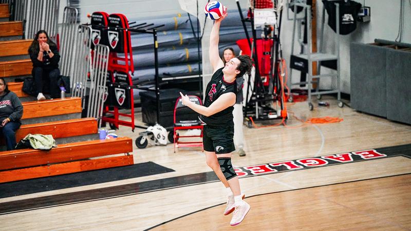 Eagles bring Comets down to earth at Sabre Classic