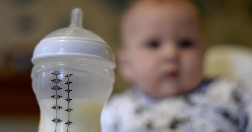 Food safety watchdog confirms presence of toxin in baby formula