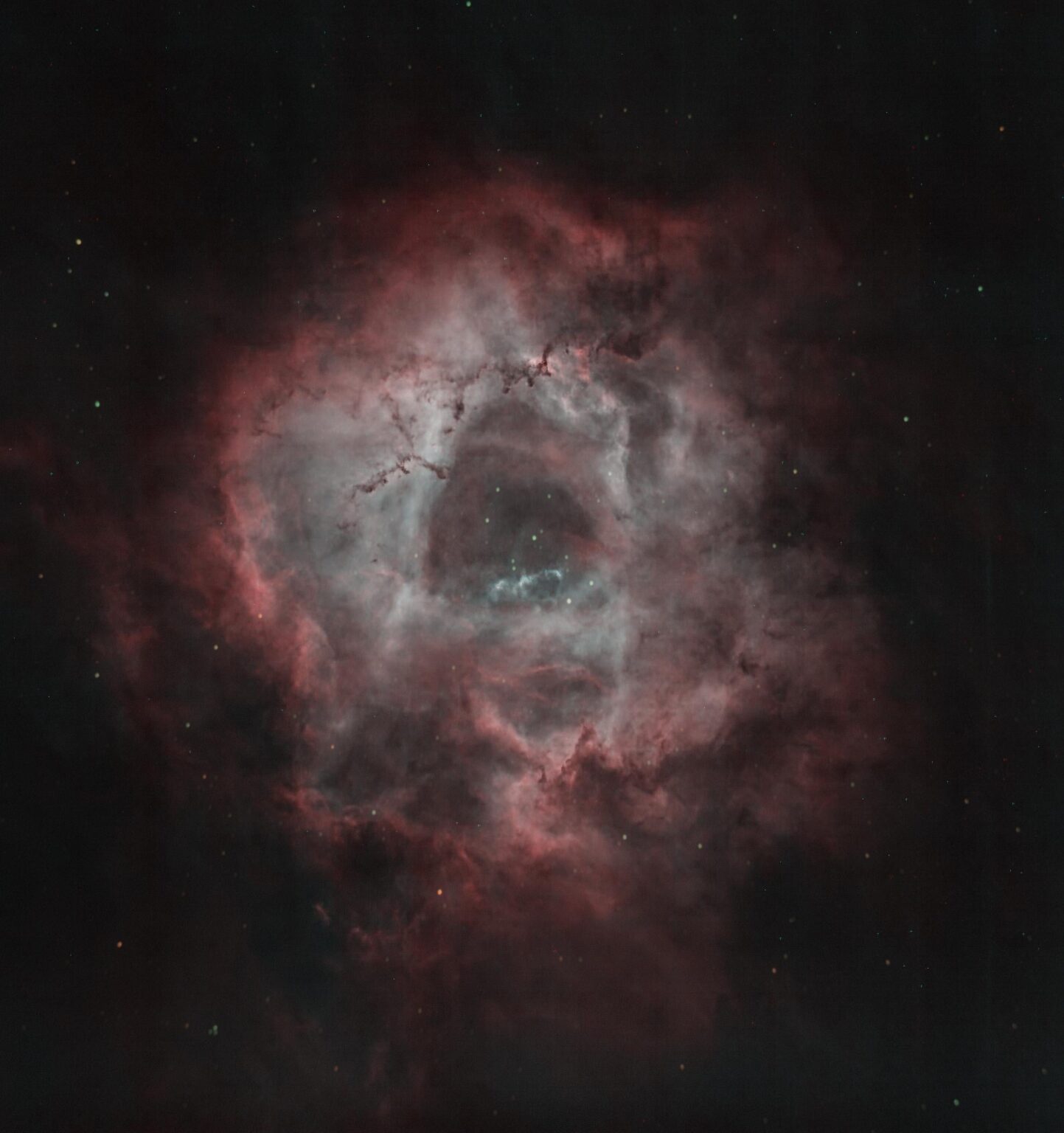 Rosette nebula with $900 set up.