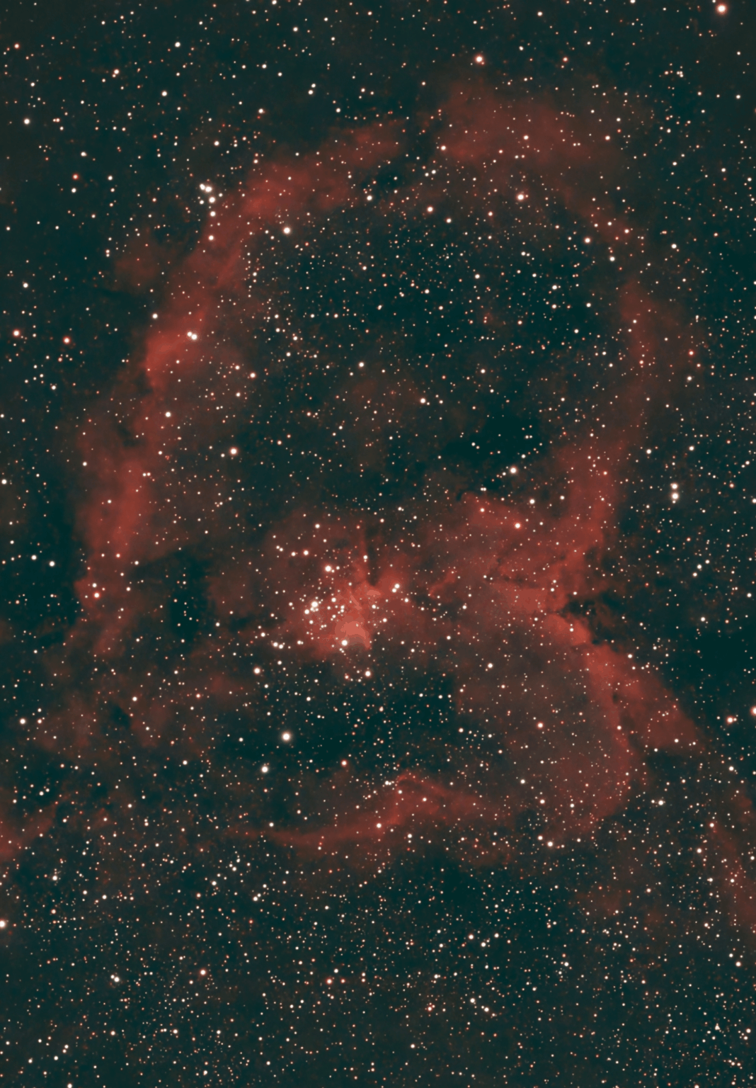 Heart Nebula