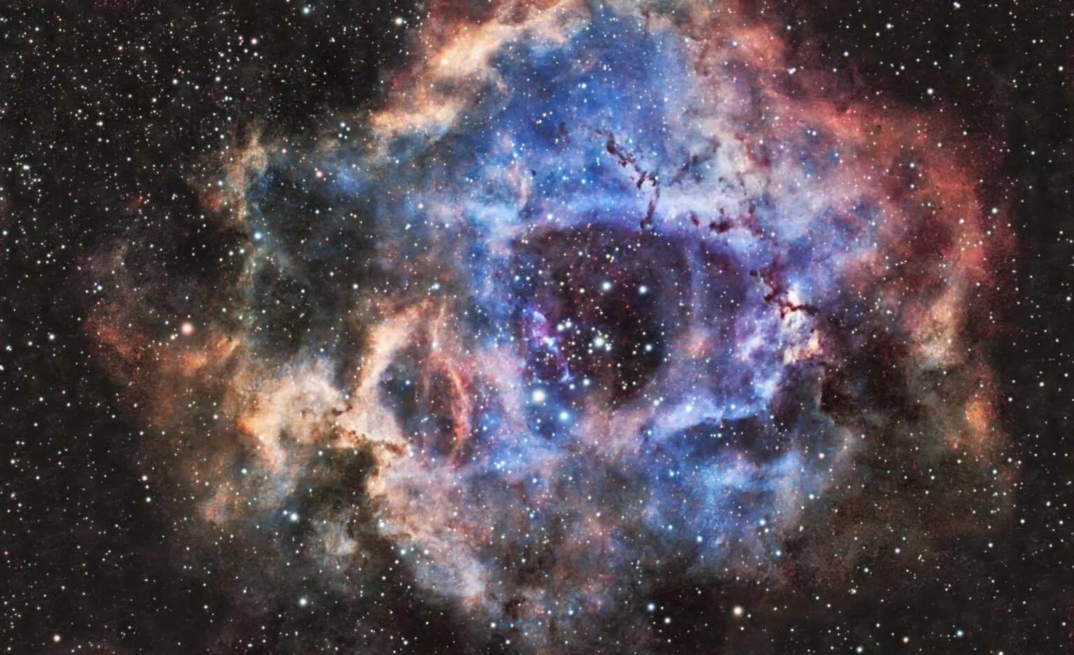 C49 Rosette Nebula