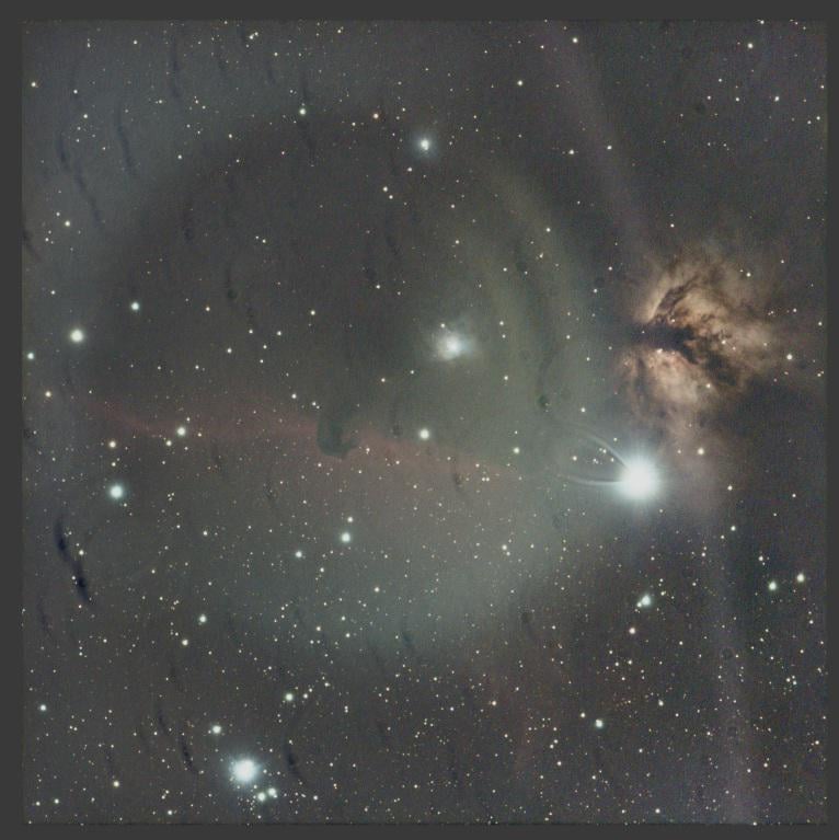 Identifying visual artifacts in stacked image of Horse Head