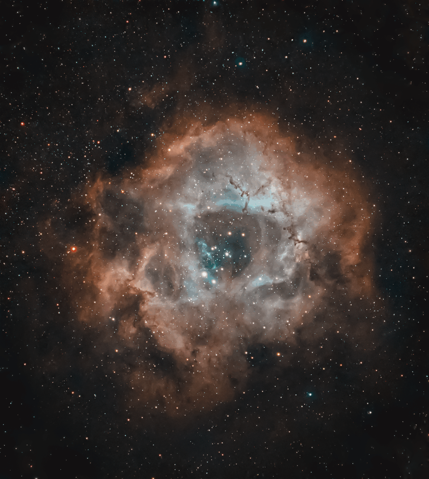 Rosette nebula NGC 2244