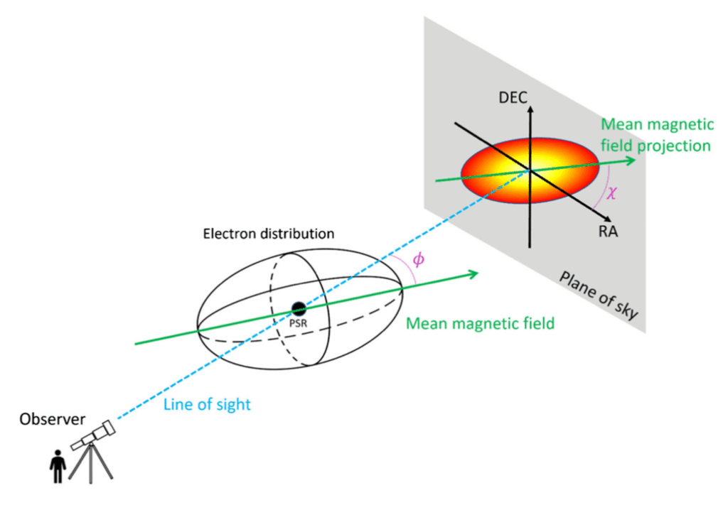 Observing Magnetic Fields Using Pulsar Halos