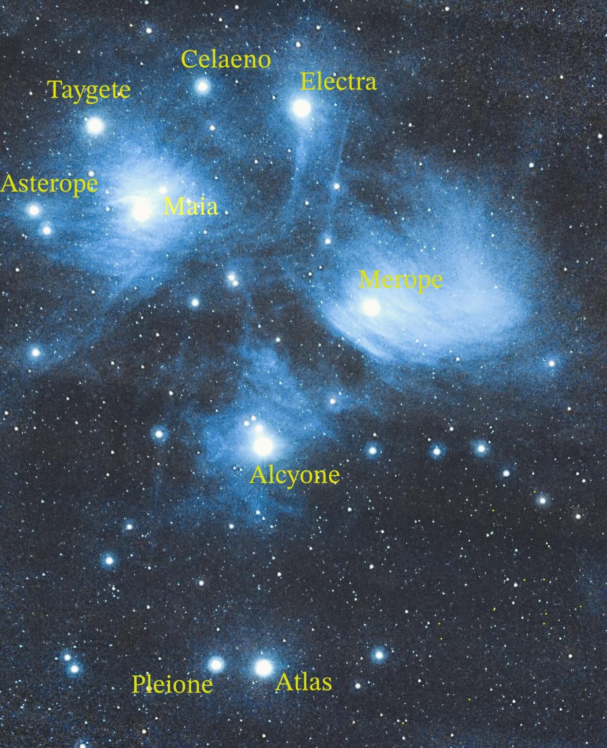 Seven Sister with mom and dad Seven Sister with mom and dad