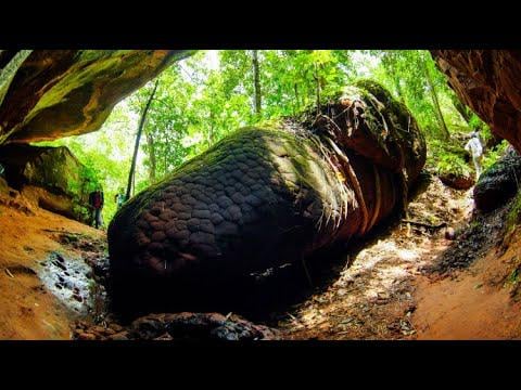 Amazing Naka Cave: Discover the legend of the giant serpent, Naga.