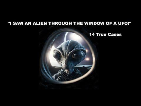 I Saw an Alien through the Window of a UFO: 14 Cases