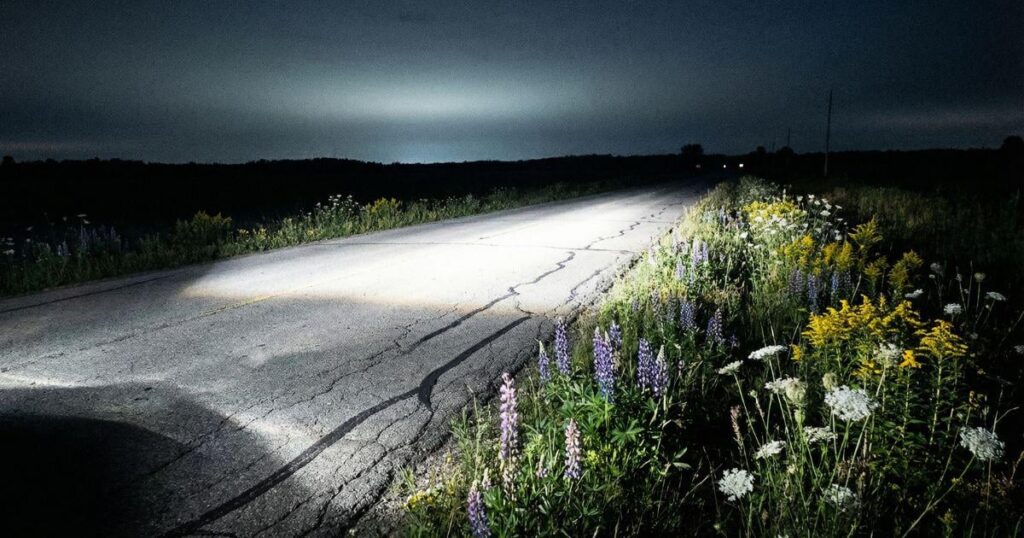 The Insect Collapse: The Quiet Disaster That Could End Civilization