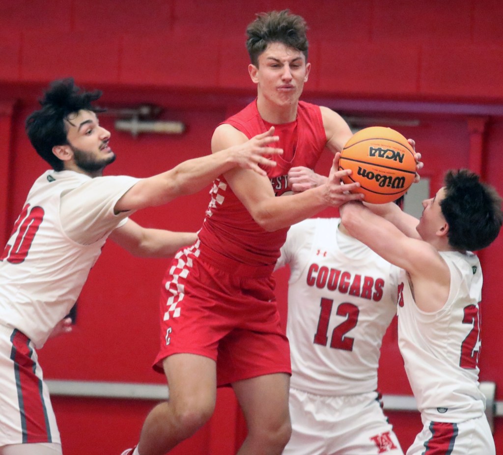 Comets breeze past Cougars – Hazleton Standard Speaker