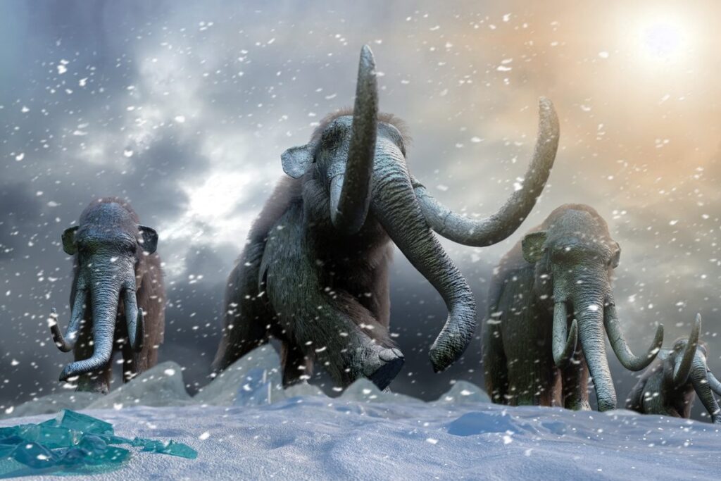 Herd of mammoths
