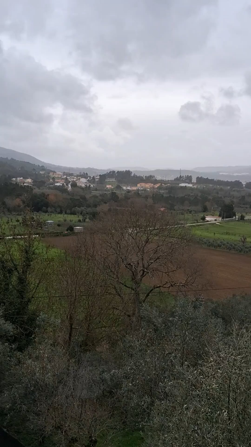 Semi-Transparent object flying Semi-Transparent object flying