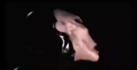 Alleged KGB interview of an NHI or Alien  taken in the early 1990s.