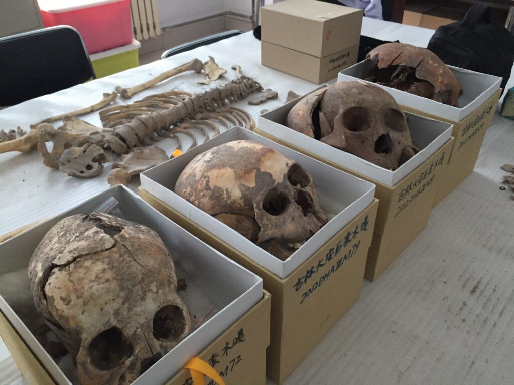 Texas A&M College of Dentistry professor appears on 'Ancient Aliens' episode