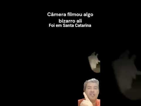 A driver found something very strange on a street