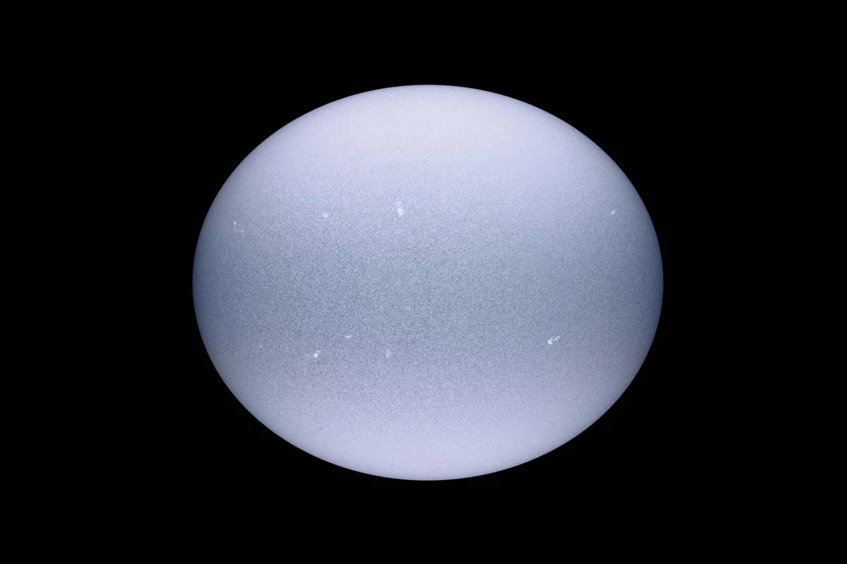 Image of Vega, the egg-shaped star