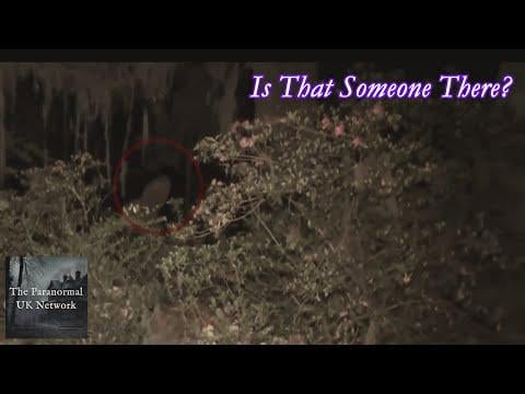 The Cryptic Files - Misguided Road Trip