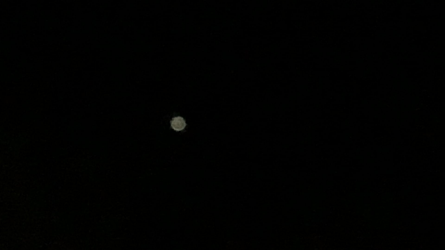 Sighting mid north coast, Australia 2025 Sighting mid north coast, Australia 2025