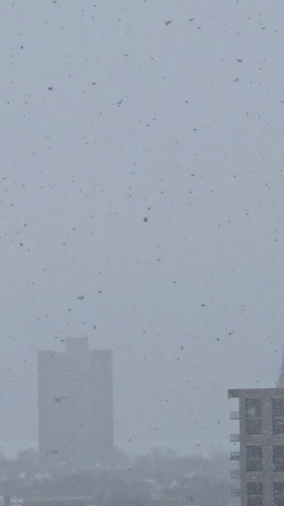 Weird orb in Chicago just now Weird orb in Chicago just now