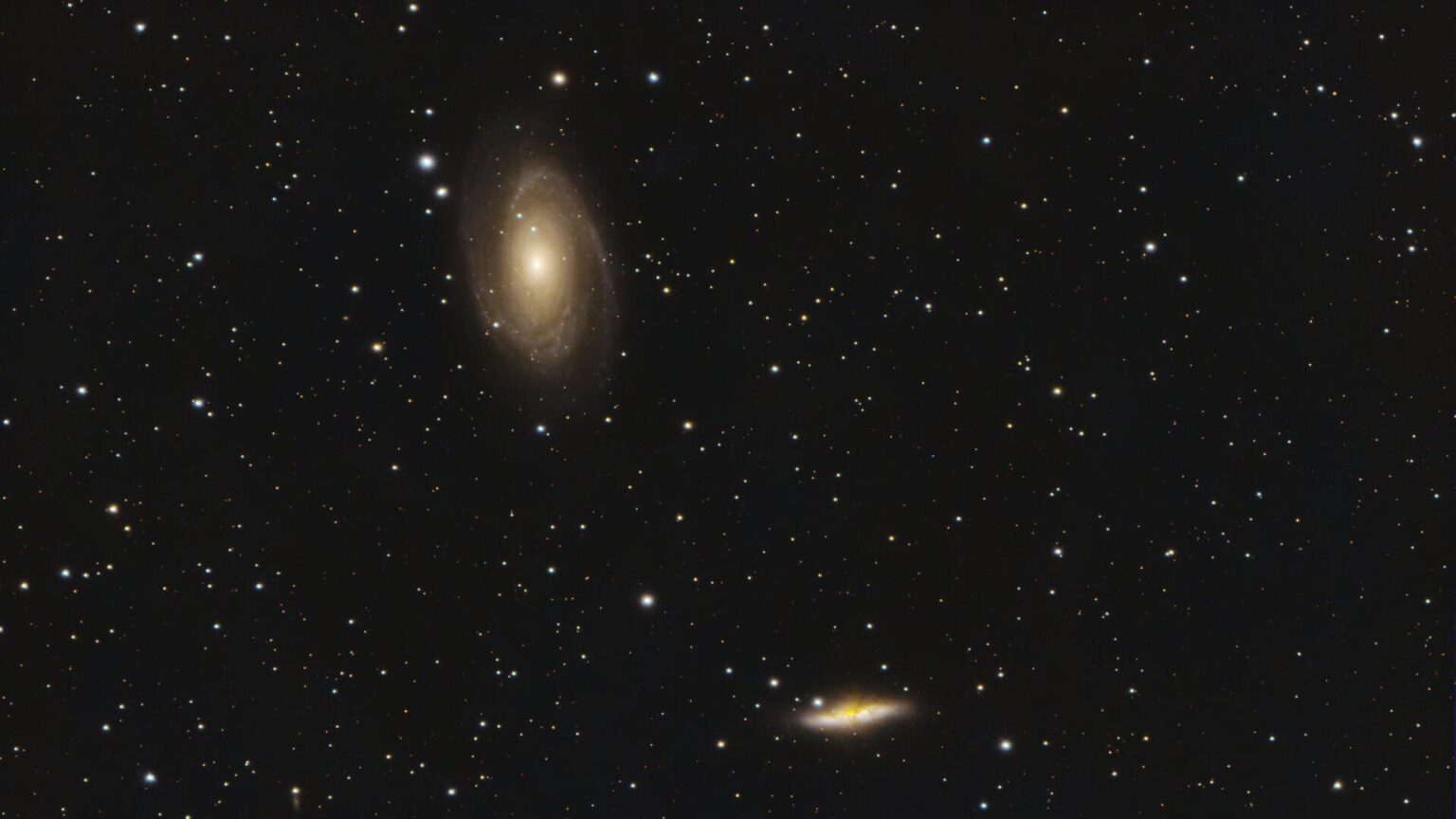M81+M82