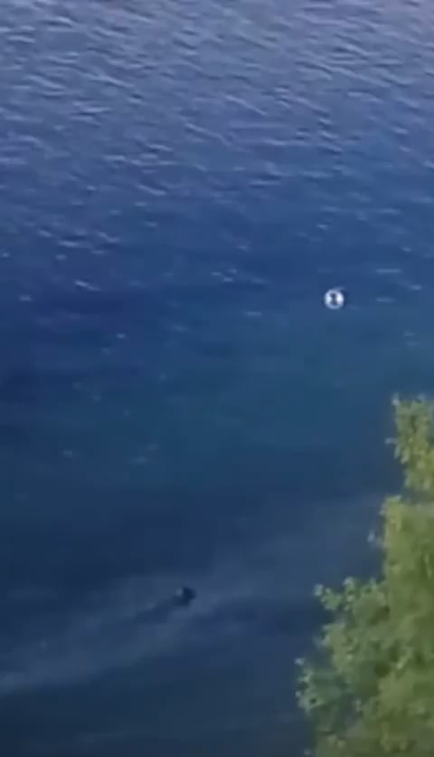 Does anyone have more information about this footage?