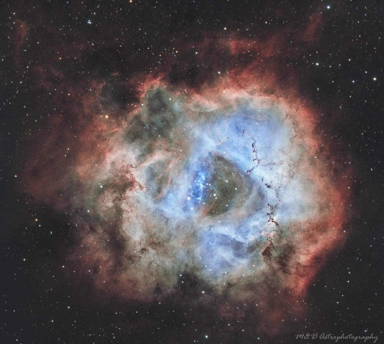 Rosette Nebula (NGC2244) from the backyard