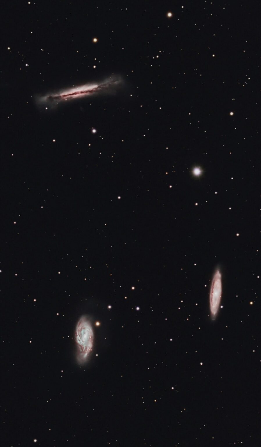 Leo Triplet Leo Triplet