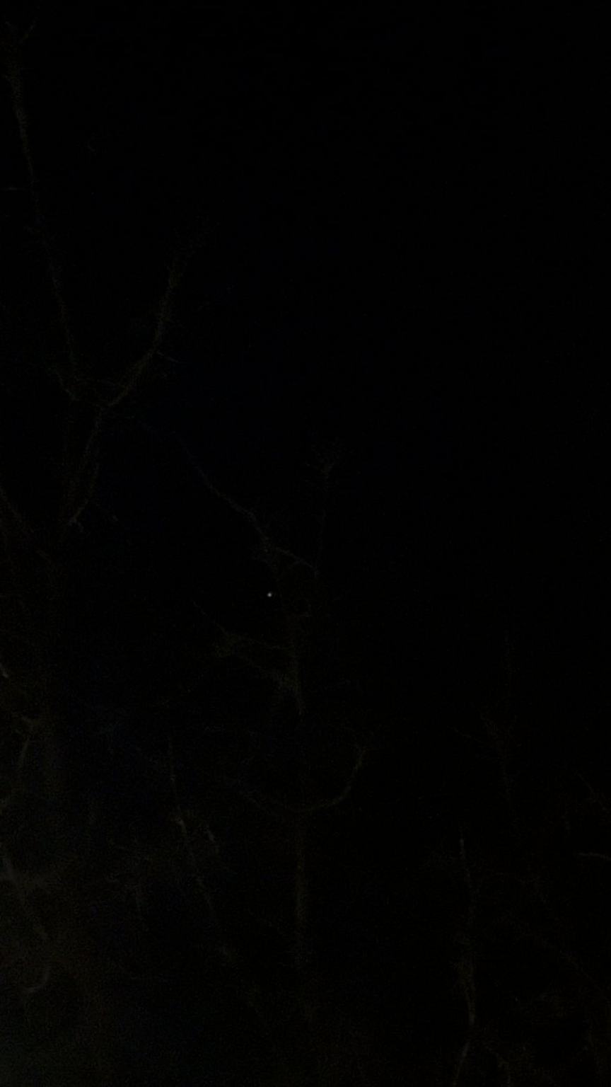 Orion flashing light.