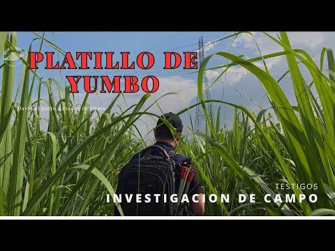 Saucer UFO recharging on powerlines?