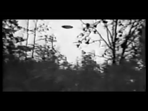 Just above the tree line: UFOs witnessed near trees or in the woods