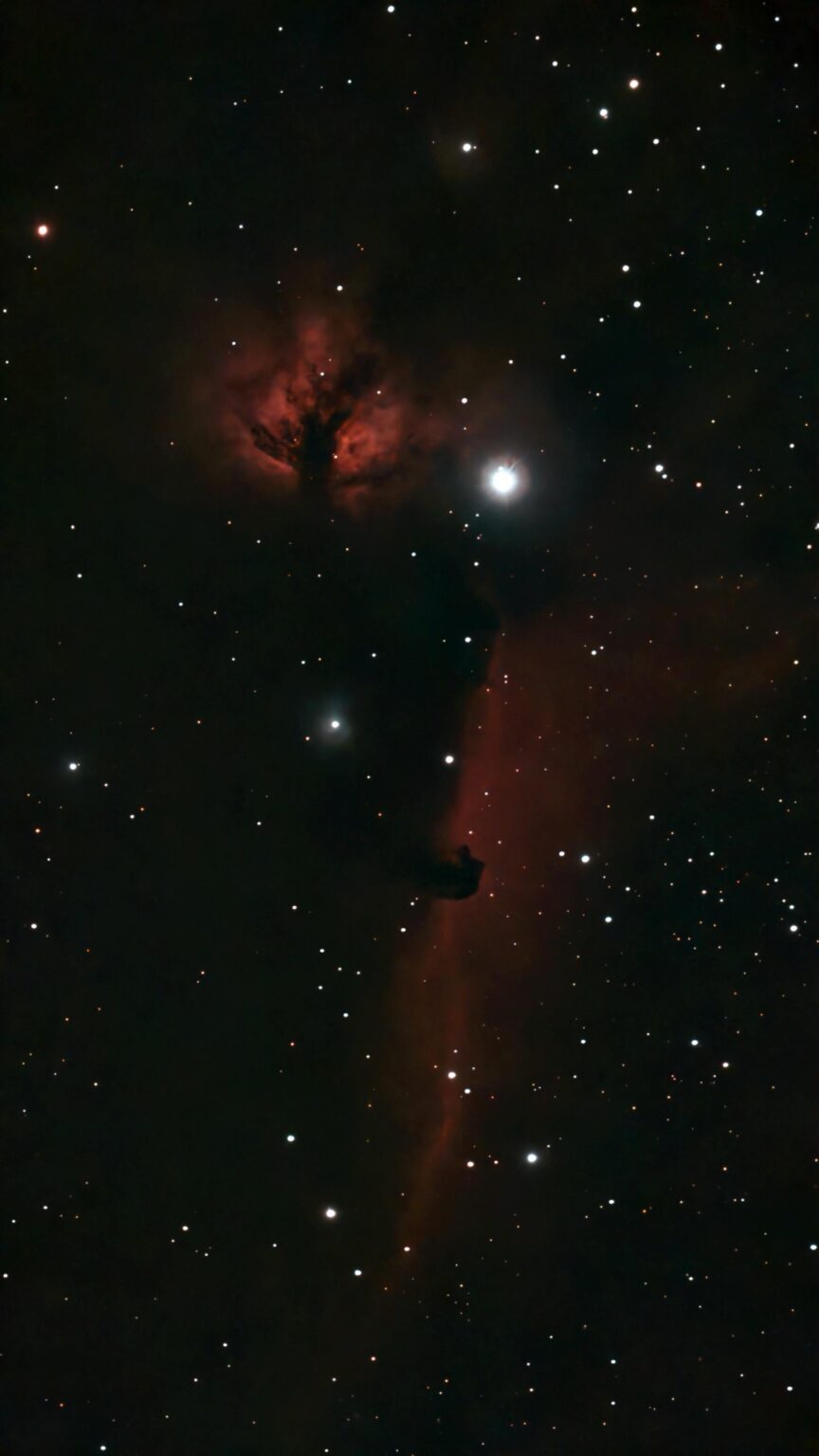 The Horsehead and Flame Nebulae