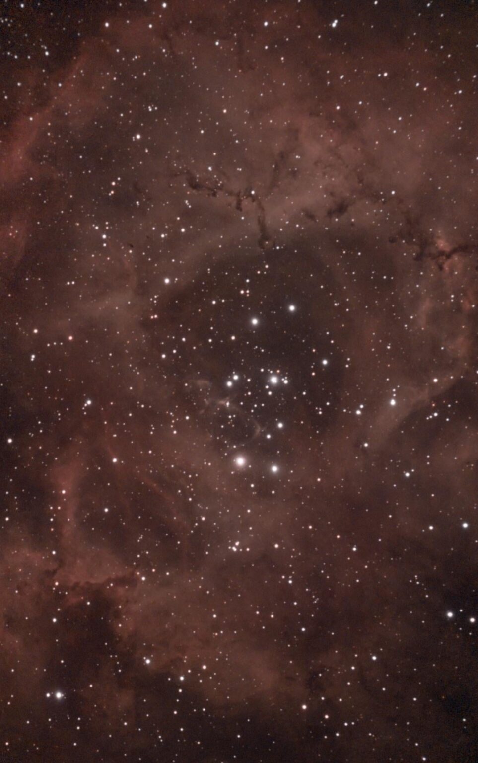 Rosette Nebula and Satellite Cluster
