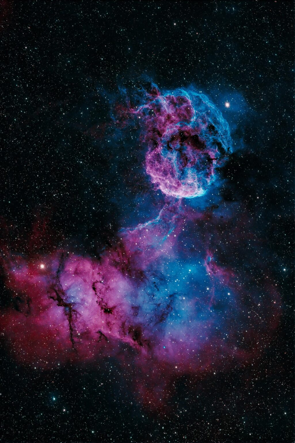 The Jellyfish Nebula